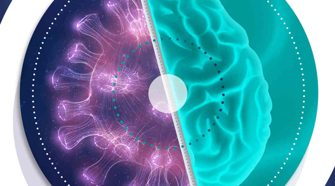 Immagine video intervista covid-19 e cervello