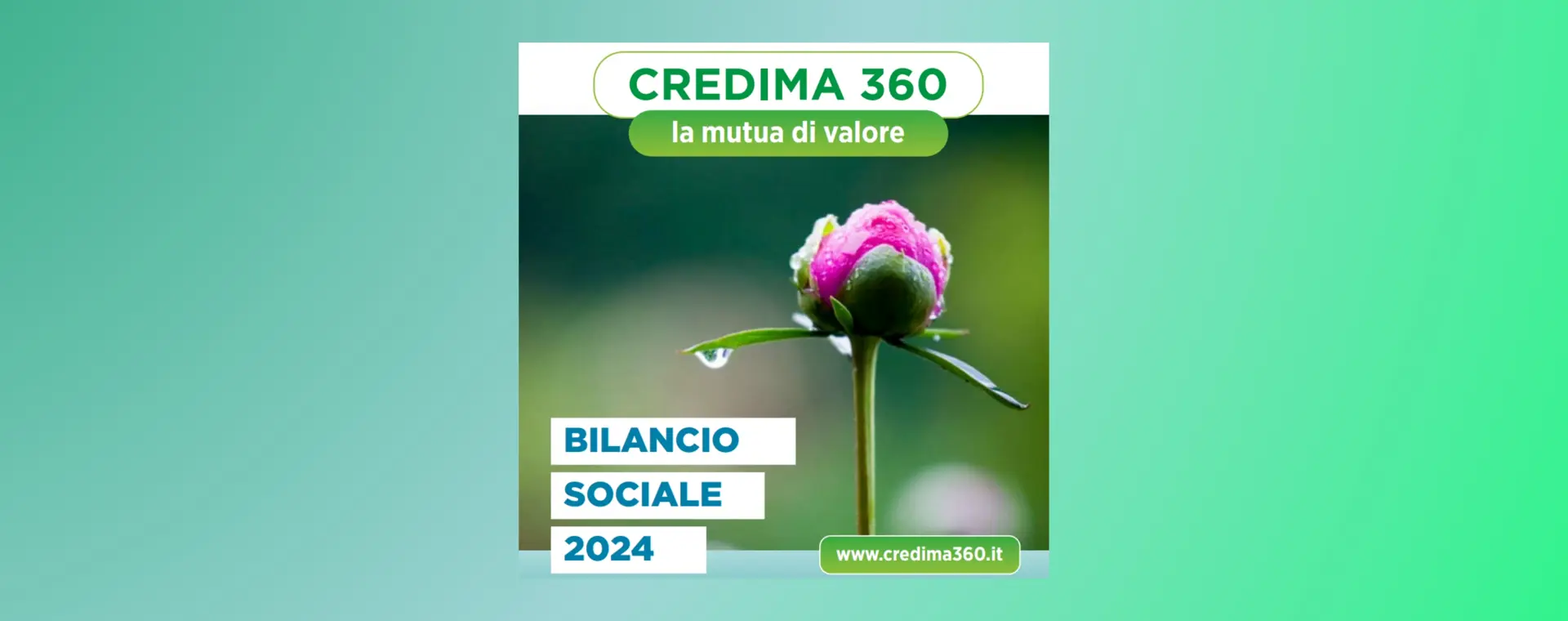 On line il Bilancio Sociale 2024 